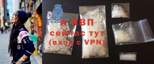 спиды Покачи