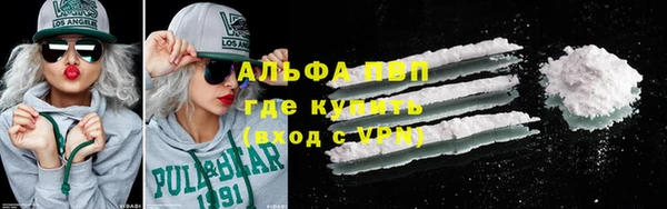 стафф Арсеньев