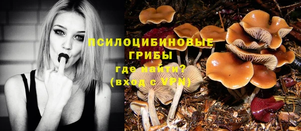 MESCALINE Аркадак