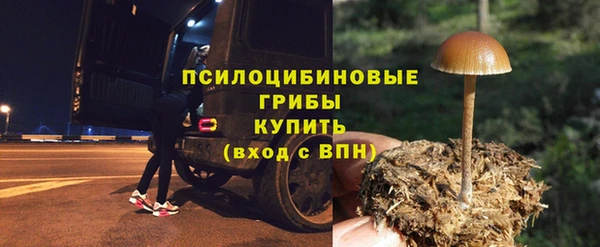 MESCALINE Аркадак
