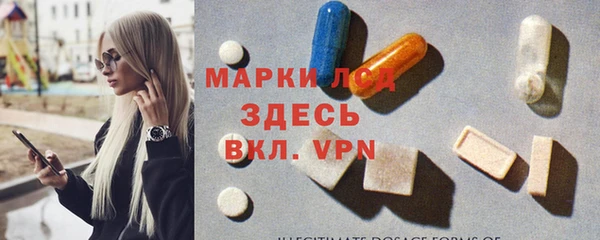 стафф Арсеньев