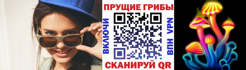 Псилоцибиновые грибы мицелий  цена наркотик  hydra ссылки  Морозовск 